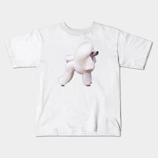 Poodle Mini Toy Show Groom Puppy Dog Kids T-Shirt